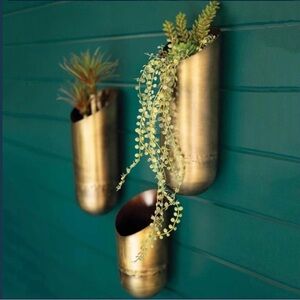 Brass Wall Planters with Hanging Succulents